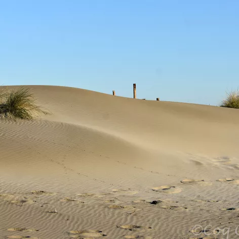 image-dunes-de-camargue