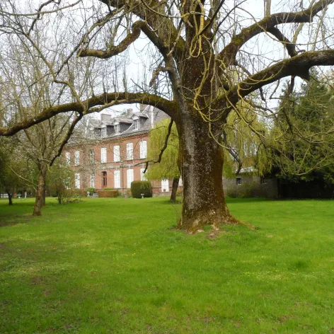 Château_de_l'Arrouaise,_les_arbres_du_Duc