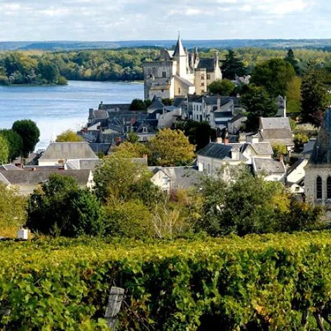 image la vallée de la Loire
