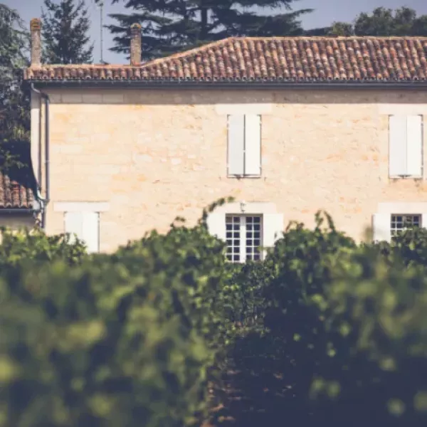 Design sans titre (77)