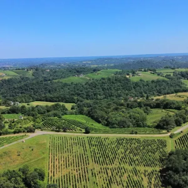 addisen-king-wLHhDA-TxwM-unsplash