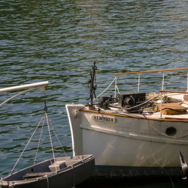 alice-yuqXmMwqsYg-unsplash