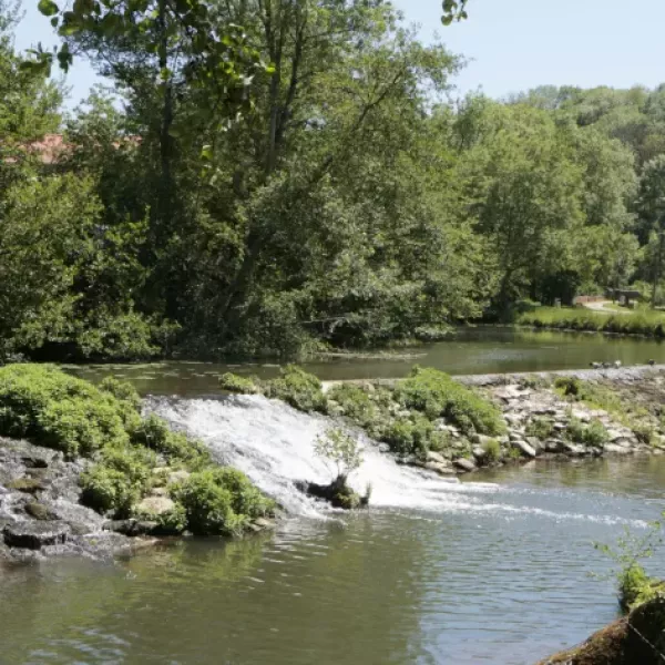 goetz-jean-pierre-AtWInQwhlkQ-unsplash