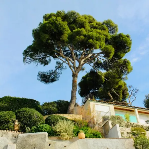image de la ville de bandol