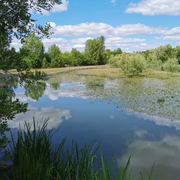 jerome-sandor-almasi-QtI0U_j6ayM-unsplash