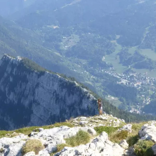 a-coccinelle-UR3sS74PJhc-unsplash