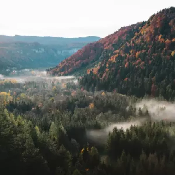 montagne du jura.jpg.jpeg