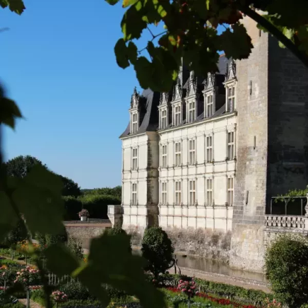 mr-xerty-EHS0meYcguY-unsplash