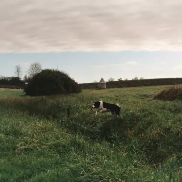 rames-quinerie-s37pxNaexqQ-unsplash