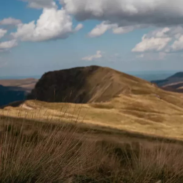 thibaut-marquis-TtrJeGENmhA-unsplash