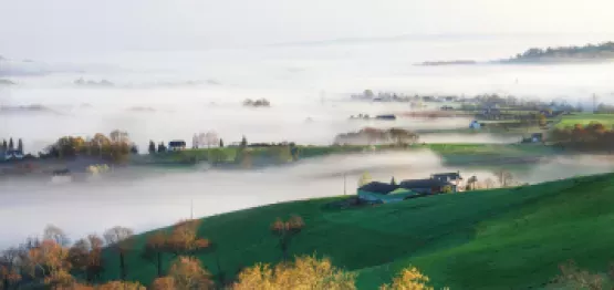 Design sans titre (100)