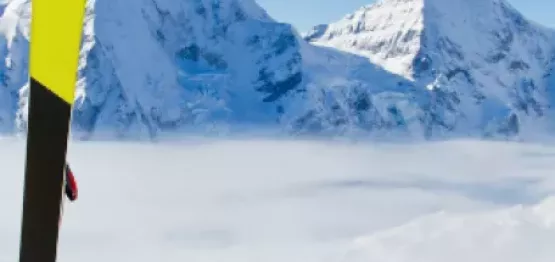 Design sans titre (56).png