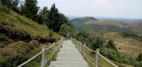 Design sans titre (91)