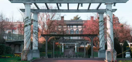 Design sans titre (96)