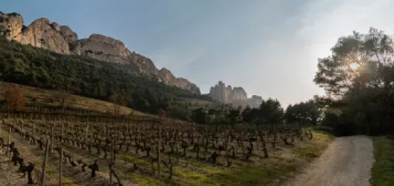 Design sans titre (98)