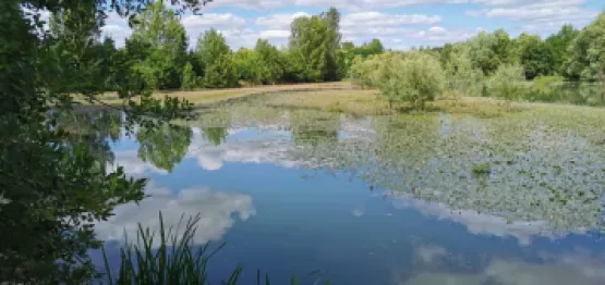 Design sans titre (99)