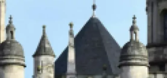 ville de dijon (1).png (1).png