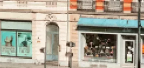 ville de mulhouse (1).png.png