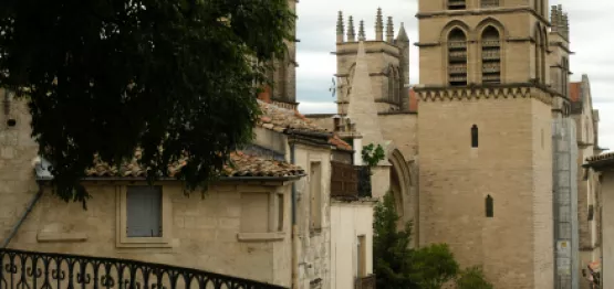 ville-de-montpellier